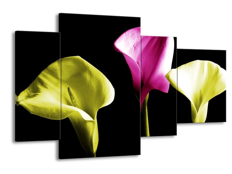 Canvas schilderij Bloem | Groen, Roze, Zwart | 120x75cm 4Luik