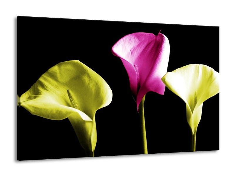Canvas schilderij Bloem | Groen, Roze, Zwart | 140x90cm 1Luik