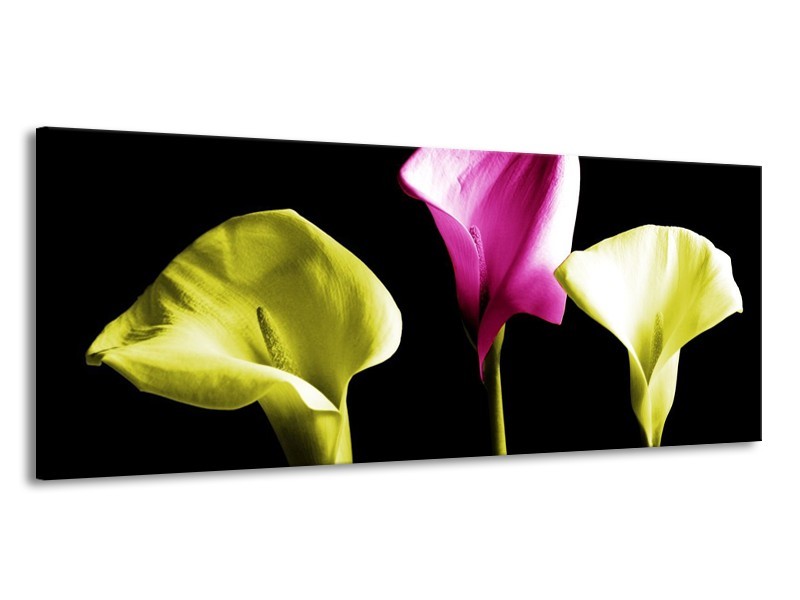 Canvas schilderij Bloem | Groen, Roze, Zwart | 145x58cm 1Luik