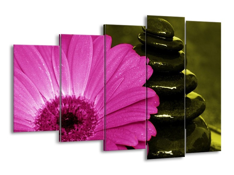 Canvas schilderij Bloem | Roze, Zwart, Groen | 150x100cm 5Luik