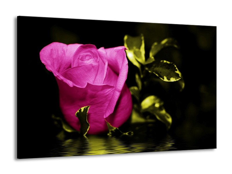 Canvas schilderij Roos | Roze, Groen, Zwart | 140x90cm 1Luik