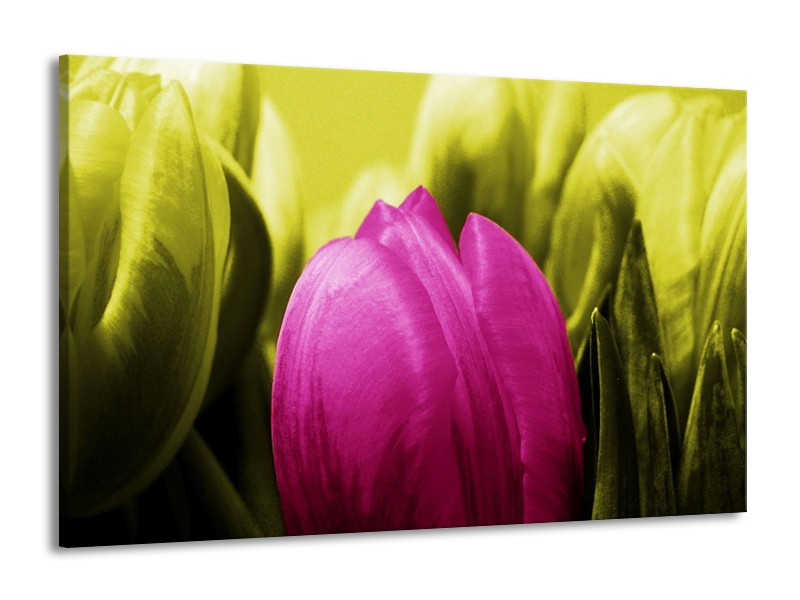 Canvas schilderij Tulp | Roze, Groen | 140x90cm 1Luik