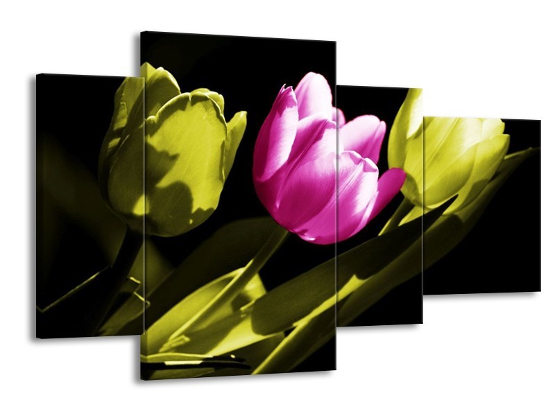 Canvas schilderij Tulp | Paars, Groen, Zwart | 120x75cm 4Luik