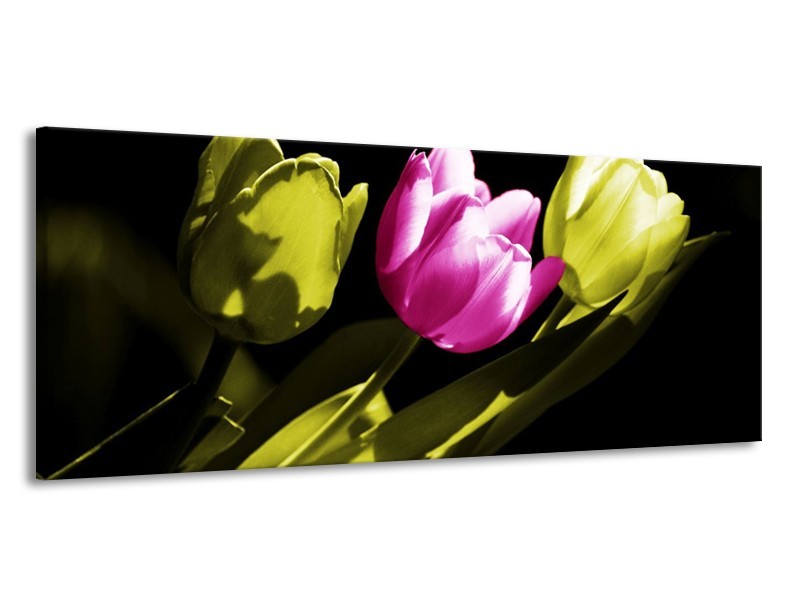 Canvas schilderij Tulp | Paars, Groen, Zwart | 145x58cm 1Luik