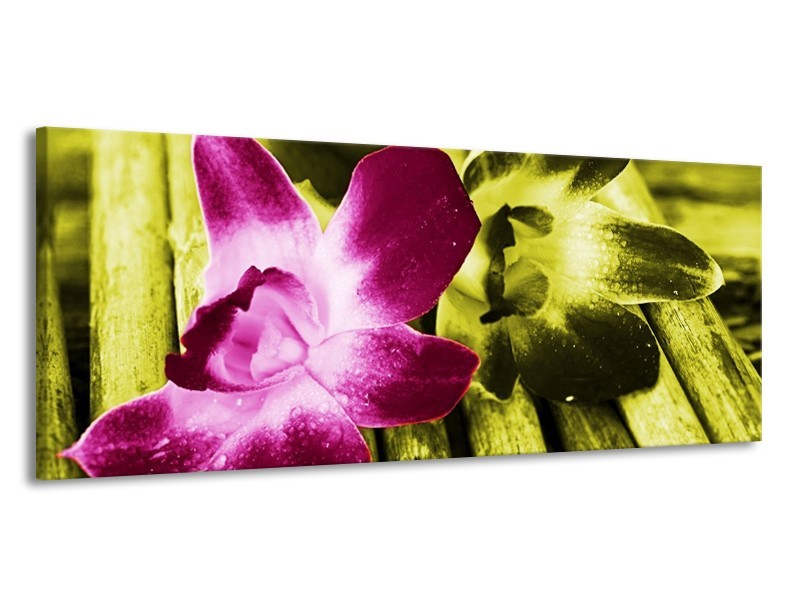 Canvas schilderij Bloem | Roze, Groen, Wit | 145x58cm 1Luik