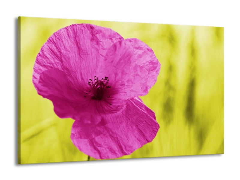Canvas schilderij Bloem | Roze, Groen, Wit | 140x90cm 1Luik