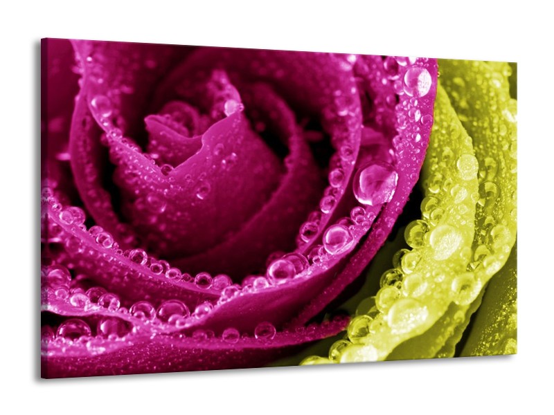 Canvas schilderij Paars | Roze, Groen, Wit | 140x90cm 1Luik