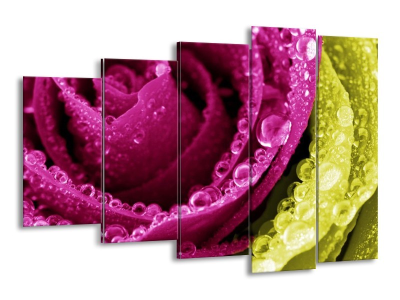 Canvas schilderij Paars | Roze, Groen, Wit | 150x100cm 5Luik