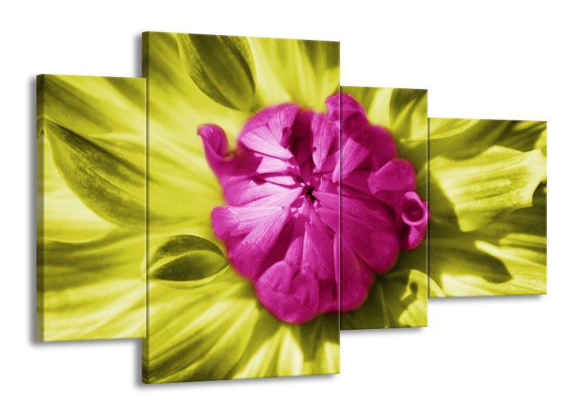 Canvas schilderij Macro | Roze, Groen, Wit | 120x75cm 4Luik