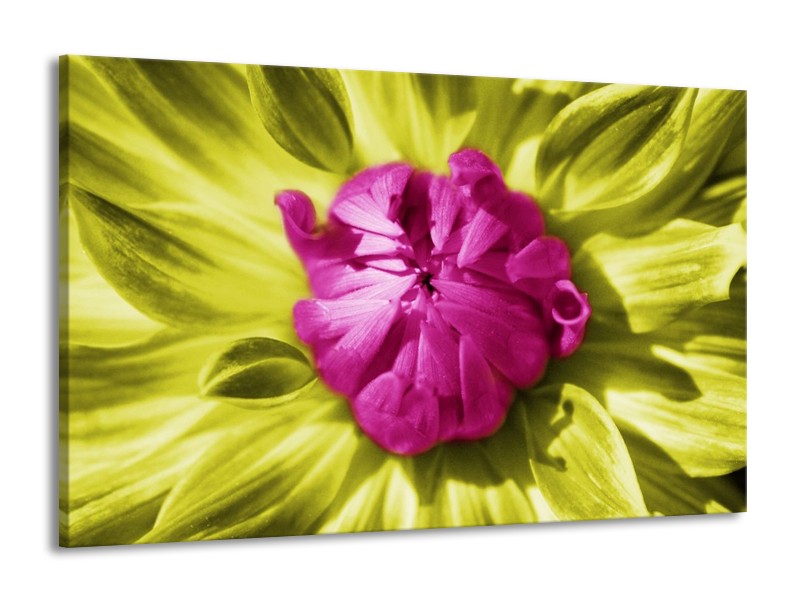 Canvas schilderij Macro | Roze, Groen, Wit | 140x90cm 1Luik