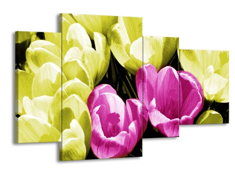 Canvas schilderij Krokus | Roze, Groen, Wit | 120x75cm 4Luik