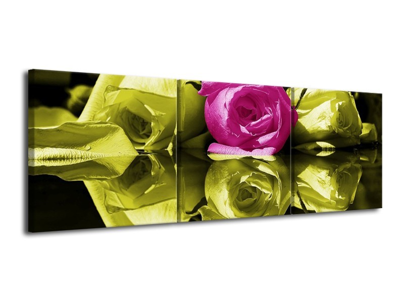 Canvas schilderij Roos | Paars, Groen, Wit | 120x40cm 3Luik