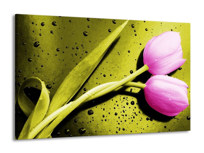 Canvas schilderij Tulp | Roze, Groen, Wit | 140x90cm 1Luik