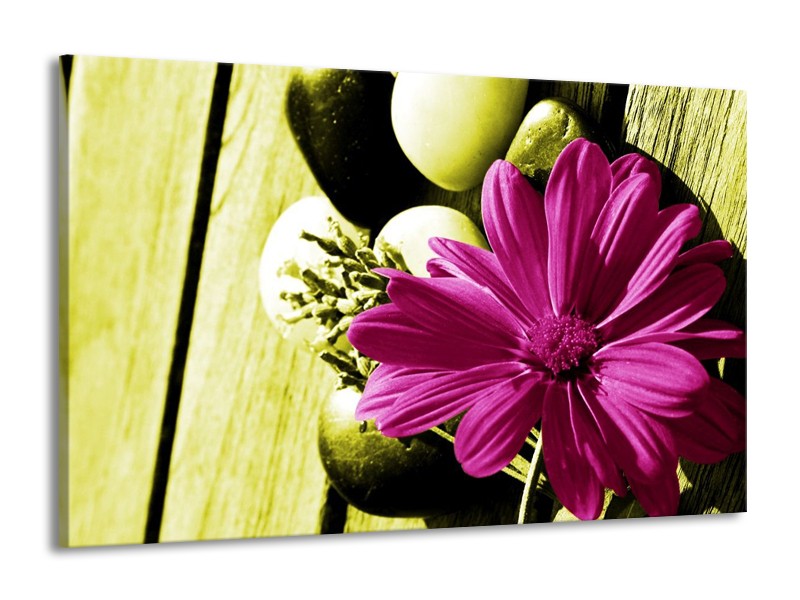 Canvas schilderij Bloem | Roze, Groen, Wit | 140x90cm 1Luik