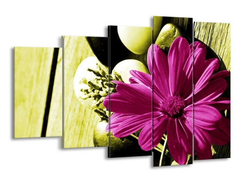 Canvas schilderij Bloem | Roze, Groen, Wit | 150x100cm 5Luik