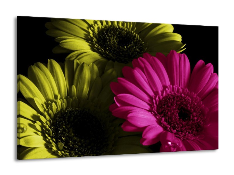Canvas schilderij Bloem | Roze, Groen, Wit | 140x90cm 1Luik