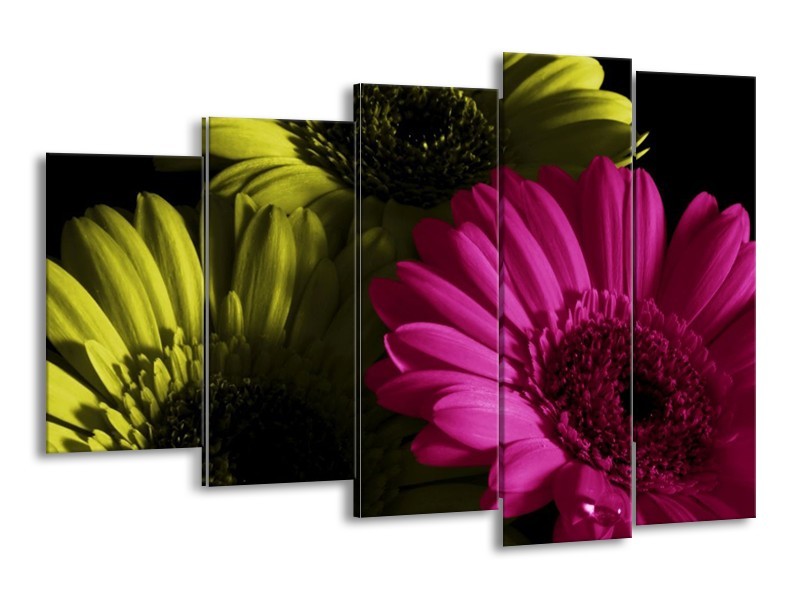 Canvas schilderij Bloem | Roze, Groen, Wit | 150x100cm 5Luik