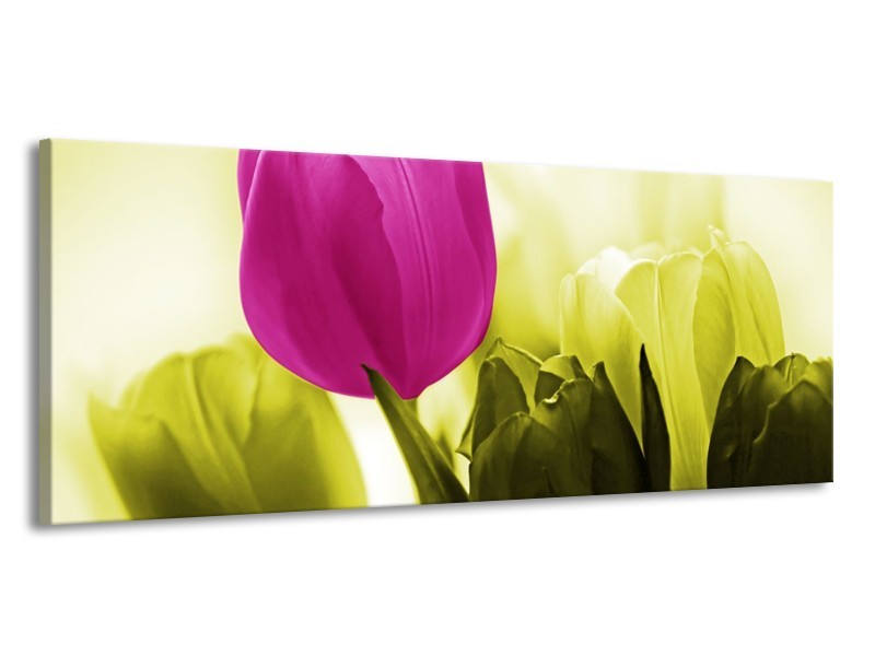 Canvas schilderij Tulp | Roze, Groen, Wit | 145x58cm 1Luik