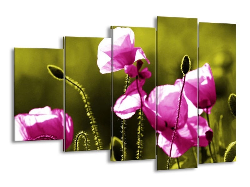 Canvas schilderij Klaproos | Roze, Groen, Wit | 150x100cm 5Luik