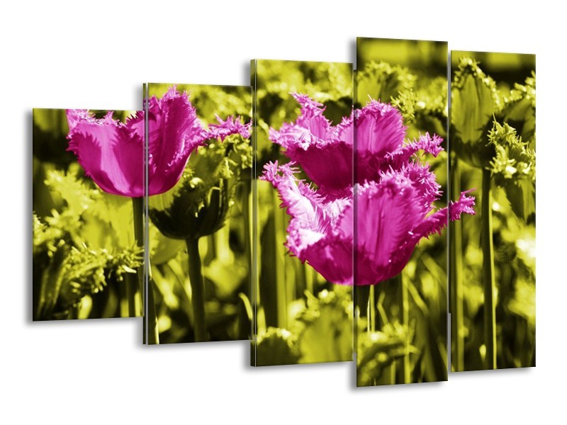 Canvas schilderij Tulp | Roze, Groen, Wit | 150x100cm 5Luik