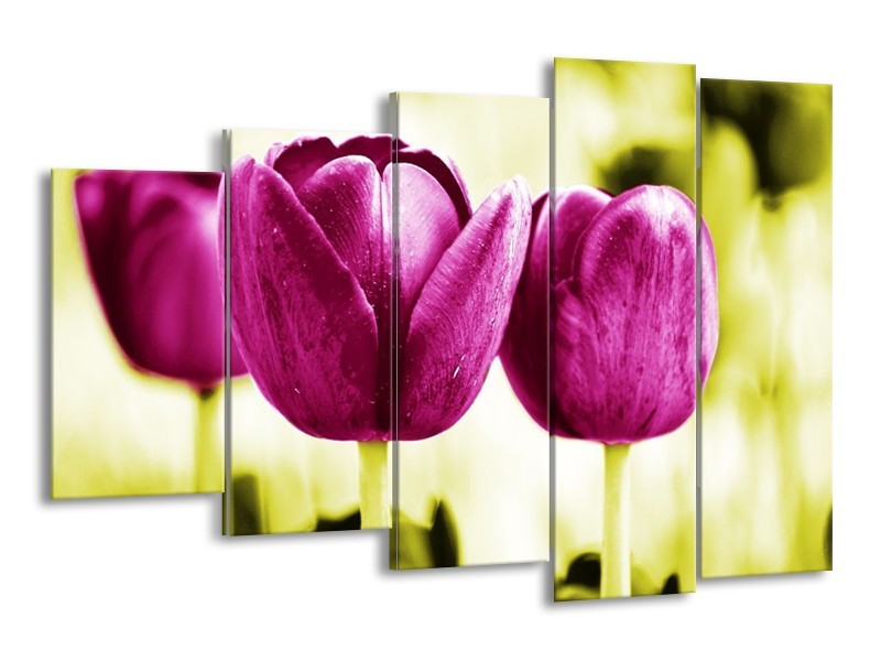 Canvas schilderij Tulp | Roze, Groen, Wit | 150x100cm 5Luik