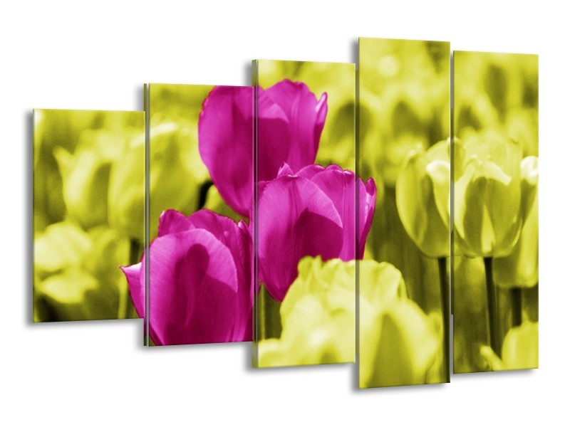 Canvas schilderij Tulp | Roze, Groen, Wit | 150x100cm 5Luik