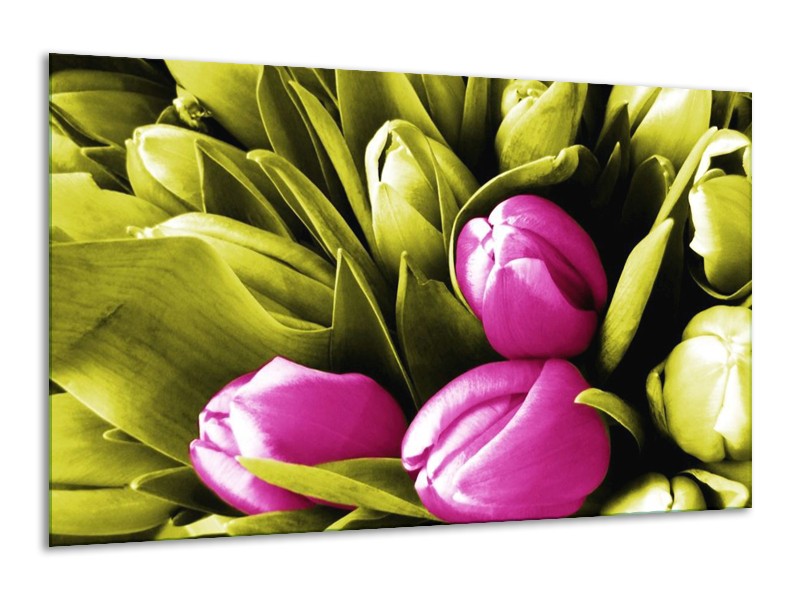 Canvas schilderij Tulp | Roze, Groen, Wit | 120x70cm 1Luik