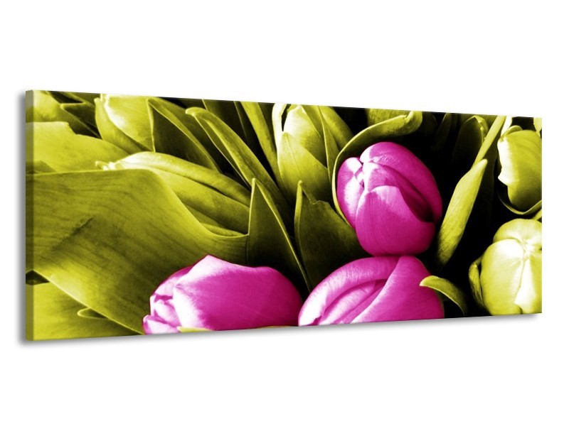 Canvas schilderij Tulp | Roze, Groen, Wit | 145x58cm 1Luik