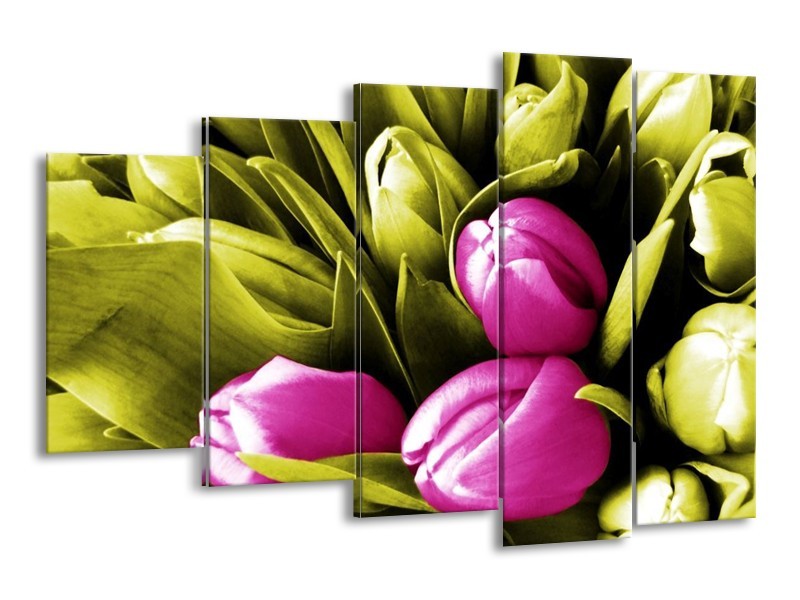 Canvas schilderij Tulp | Roze, Groen, Wit | 150x100cm 5Luik