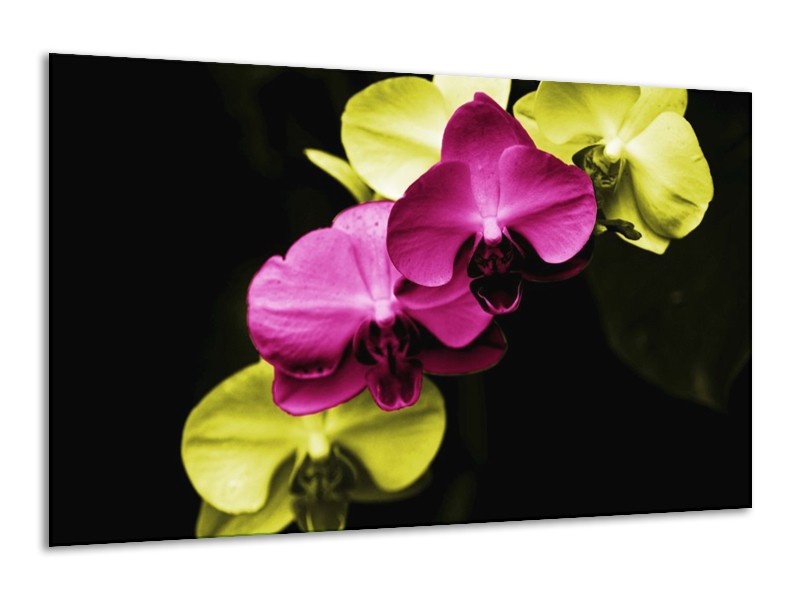 Canvas schilderij Orchidee | Roze, Groen, Zwart | 120x70cm 1Luik