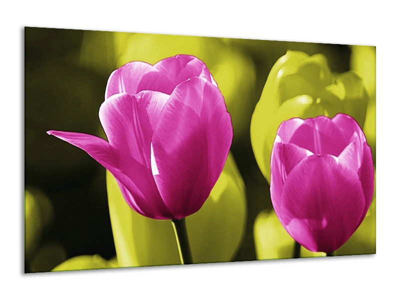 Canvas schilderij Tulp | Roze, Groen, Zwart | 120x70cm 1Luik