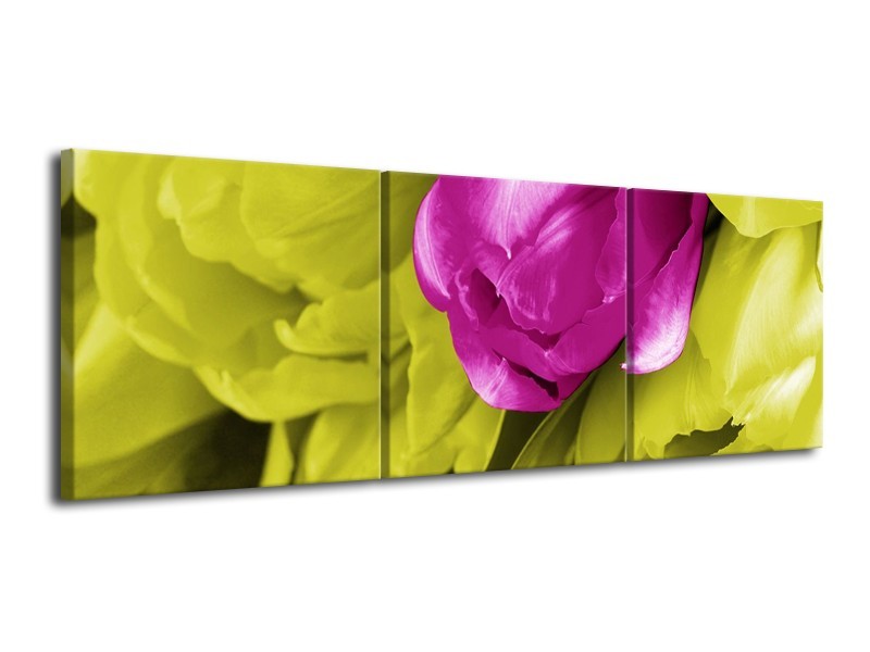 Canvas schilderij Tulp | Roze, Groen, Wit | 120x40cm 3Luik