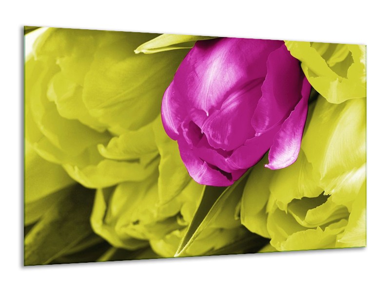 Canvas schilderij Tulp | Roze, Groen, Wit | 120x70cm 1Luik