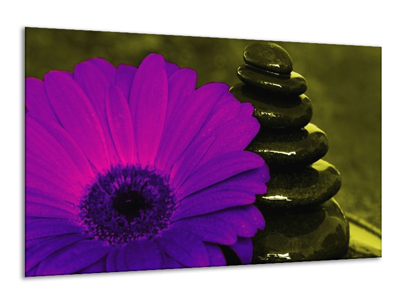 Canvas schilderij Bloem | Paars, Groen, Wit | 120x70cm 1Luik