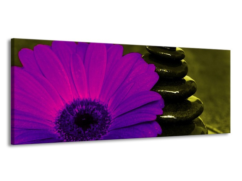 Canvas schilderij Bloem | Paars, Groen, Wit | 145x58cm 1Luik