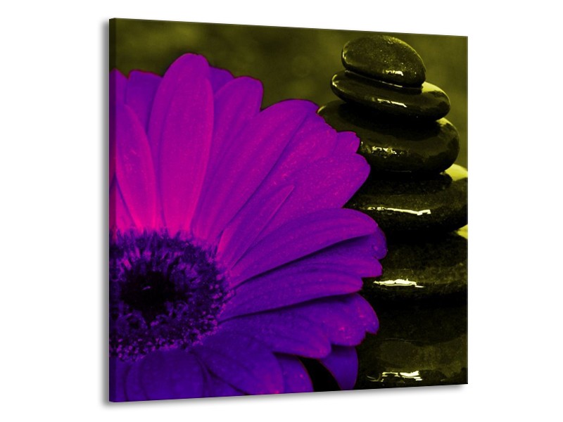 Canvas schilderij Bloem | Paars, Groen, Wit | 70x70cm 1Luik