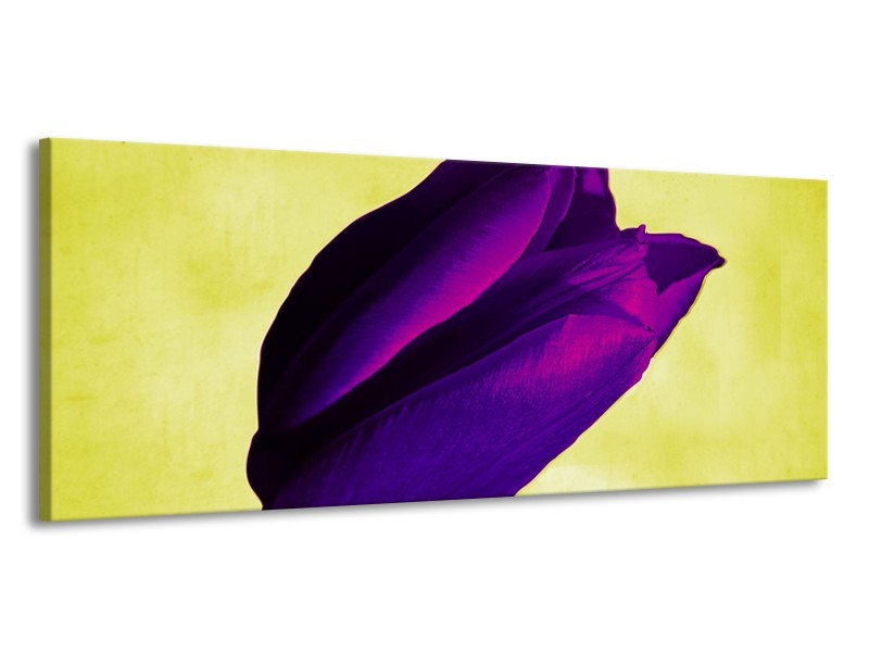 Canvas schilderij Tulp | Paars, Groen, Wit | 145x58cm 1Luik