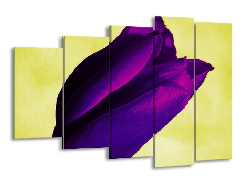 Canvas schilderij Tulp | Paars, Groen, Wit | 150x100cm 5Luik