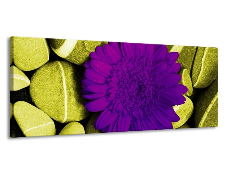Canvas schilderij Bloem | Paars, Groen, Wit | 145x58cm 1Luik