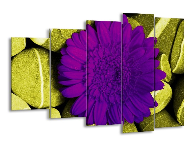 Canvas schilderij Bloem | Paars, Groen, Wit | 150x100cm 5Luik