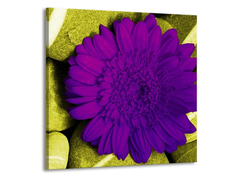 Canvas schilderij Bloem | Paars, Groen, Wit | 70x70cm 1Luik
