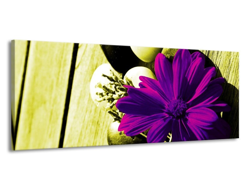 Canvas schilderij Bloem | Paars, Groen, Wit | 145x58cm 1Luik
