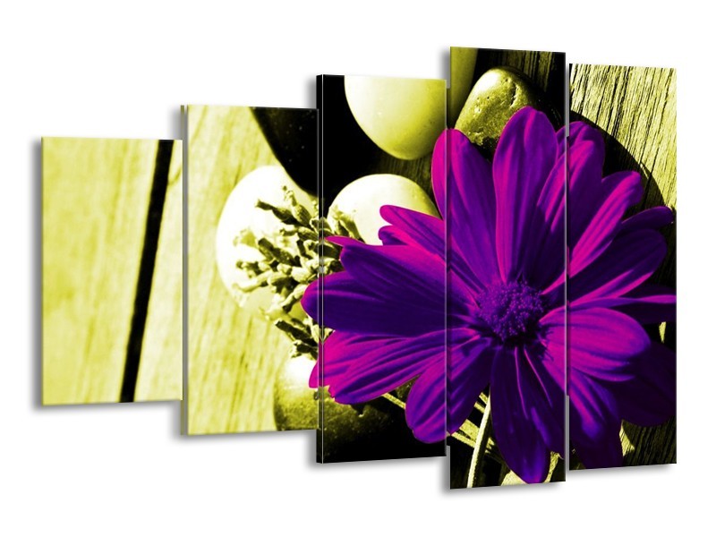 Canvas schilderij Bloem | Paars, Groen, Wit | 150x100cm 5Luik