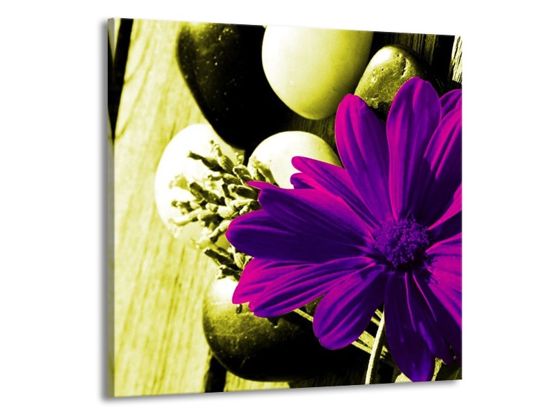 Canvas schilderij Bloem | Paars, Groen, Wit | 70x70cm 1Luik