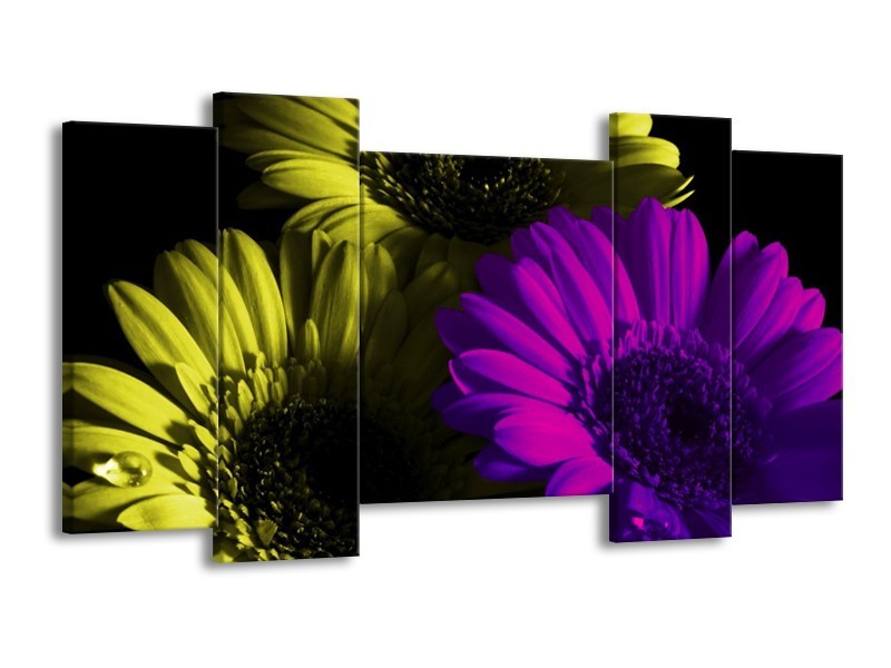 Canvas schilderij Tulp | Paars, Groen, Wit | 120x65 5Luik
