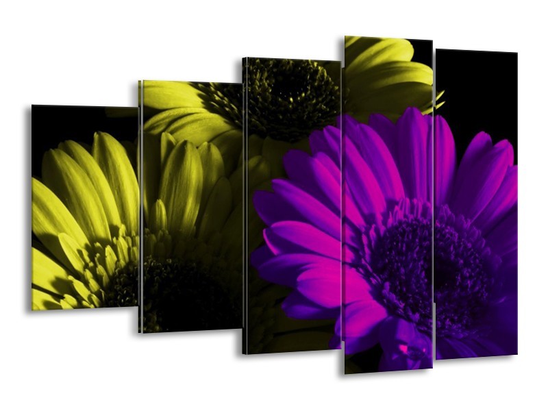 Canvas schilderij Tulp | Paars, Groen, Wit | 150x100cm 5Luik