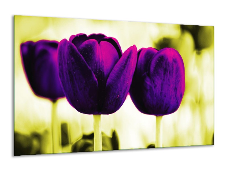 Canvas schilderij Tulp | Paars, Groen, Wit | 120x70cm 1Luik