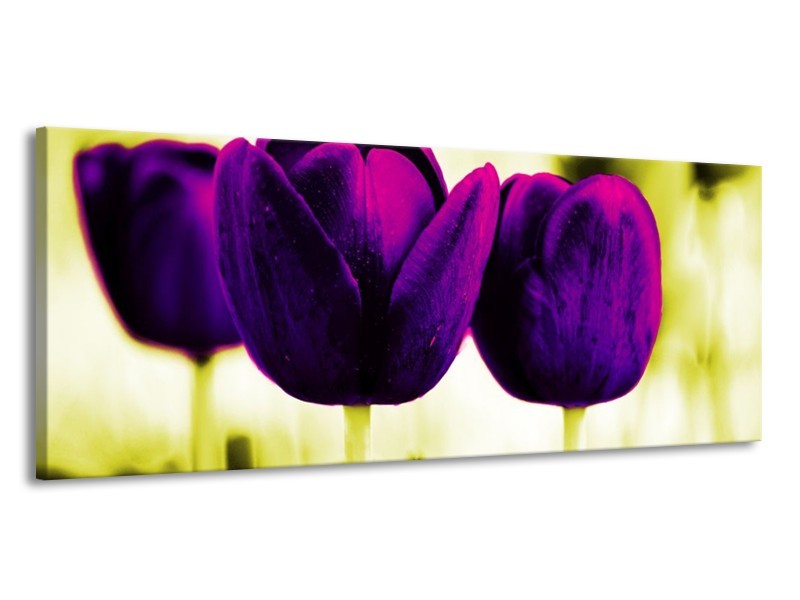Canvas schilderij Tulp | Paars, Groen, Wit | 145x58cm 1Luik