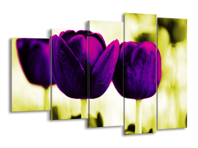 Canvas schilderij Tulp | Paars, Groen, Wit | 150x100cm 5Luik