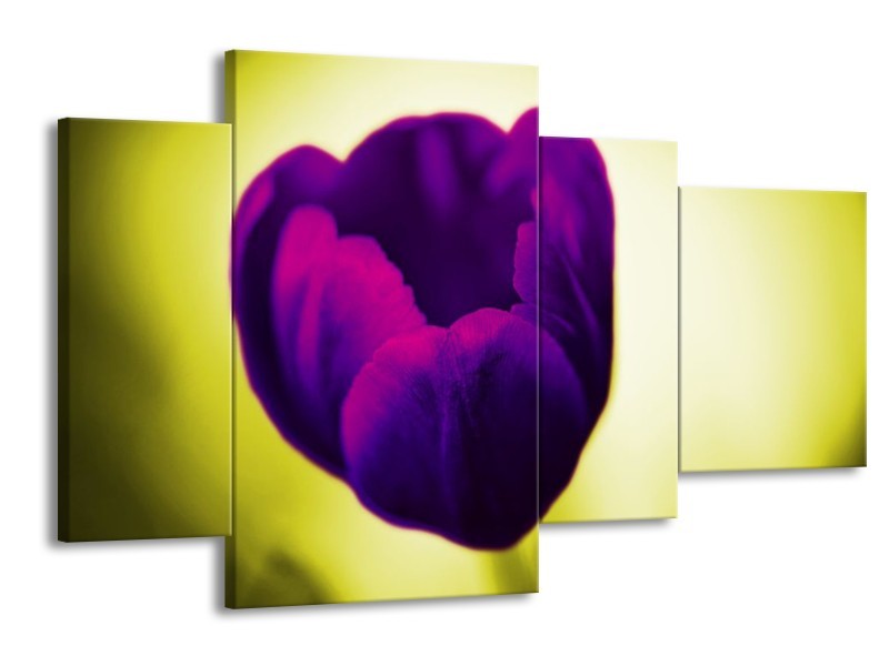Canvas schilderij Tulp | Paars, Groen, Wit | 120x75cm 4Luik